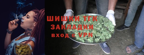 твердый Арсеньев
