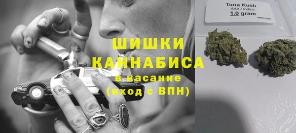 твердый Арсеньев