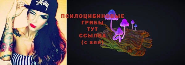 прущий лед Алексеевка