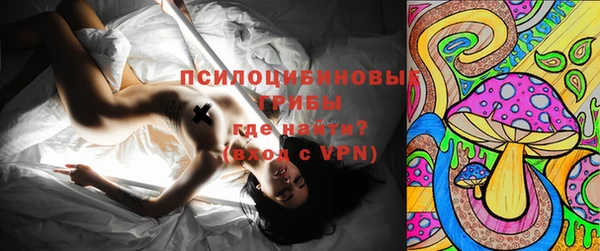спиды Аркадак