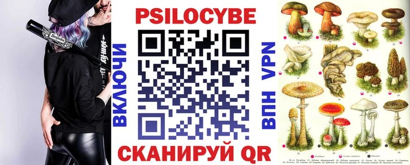 Псилоцибиновые грибы мицелий  Пустошка 