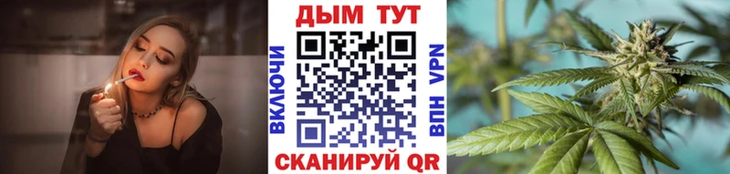 наркота  Пустошка  Бошки марихуана сатива 